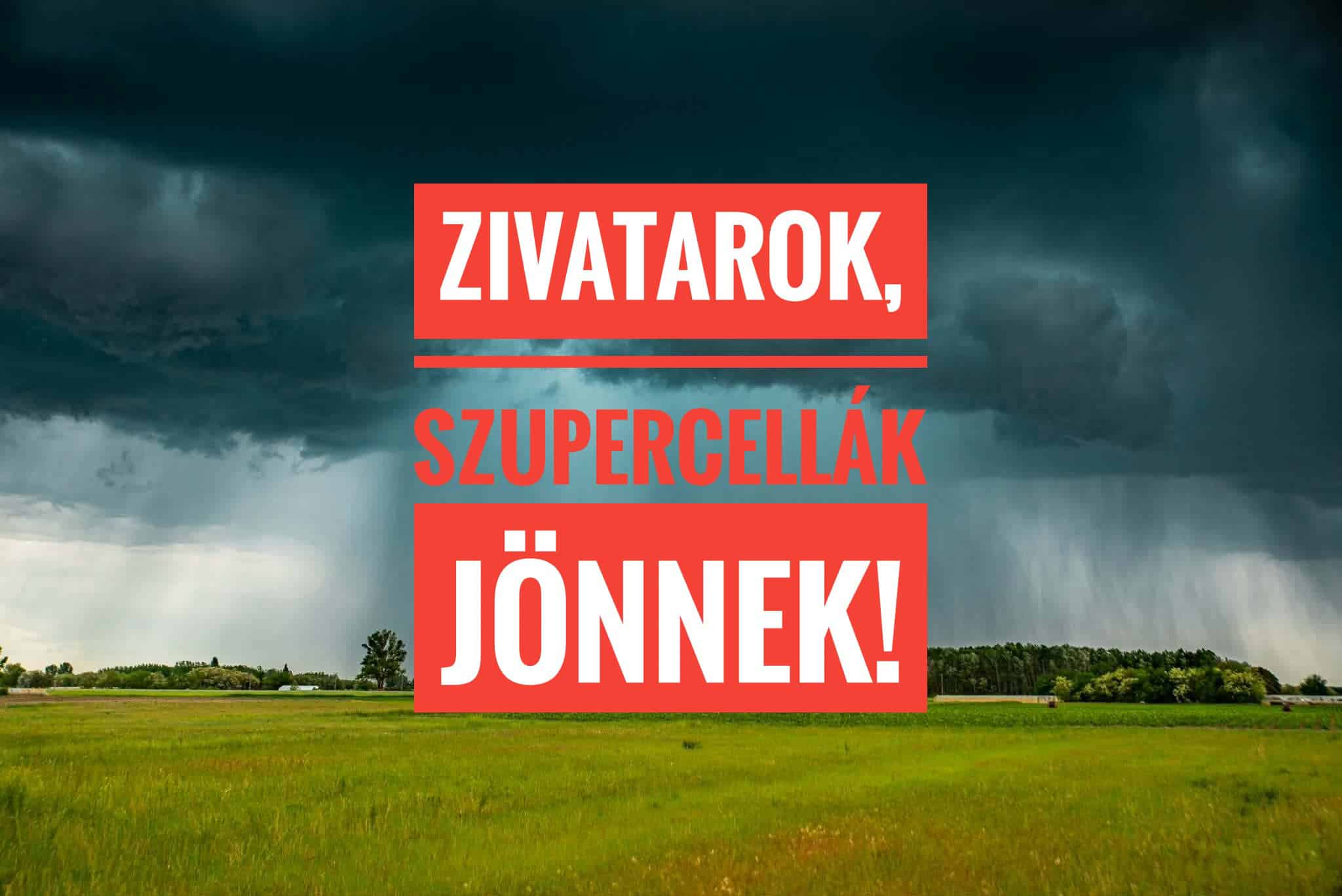 Cikk fotója