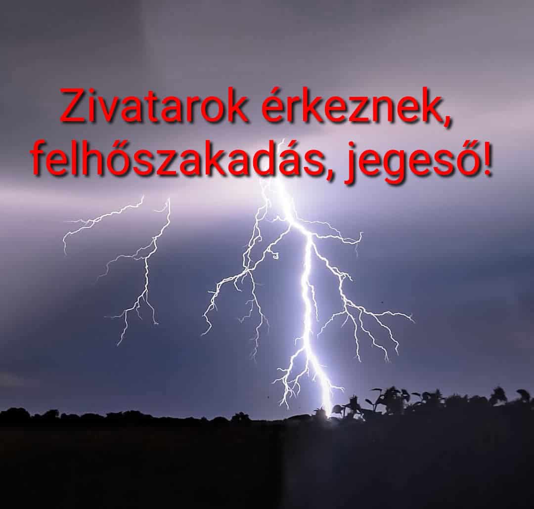 Cikk fotója