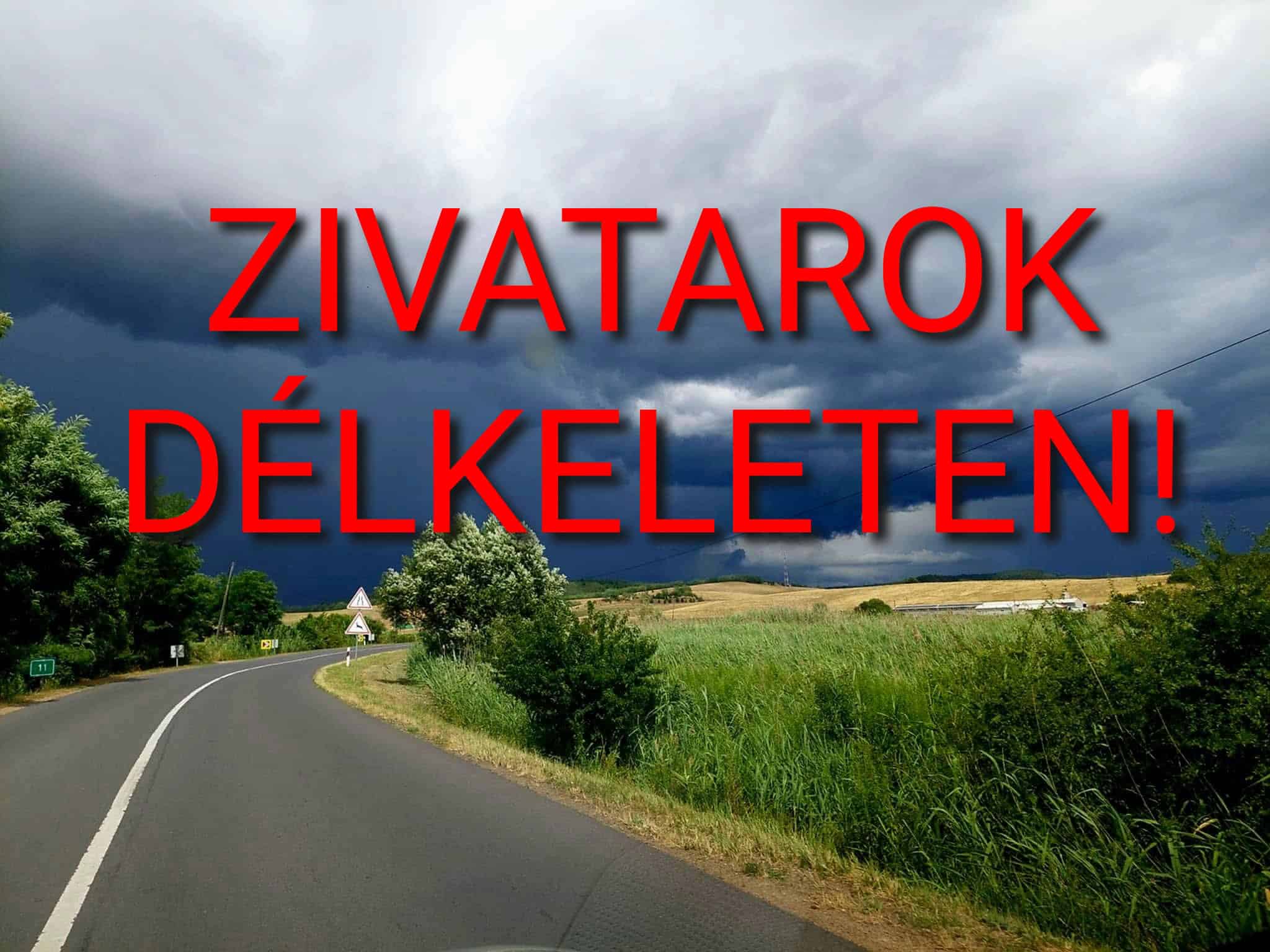 Cikk fotója