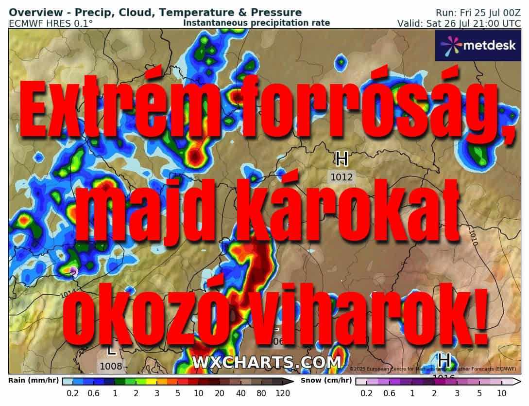 Cikk fotója