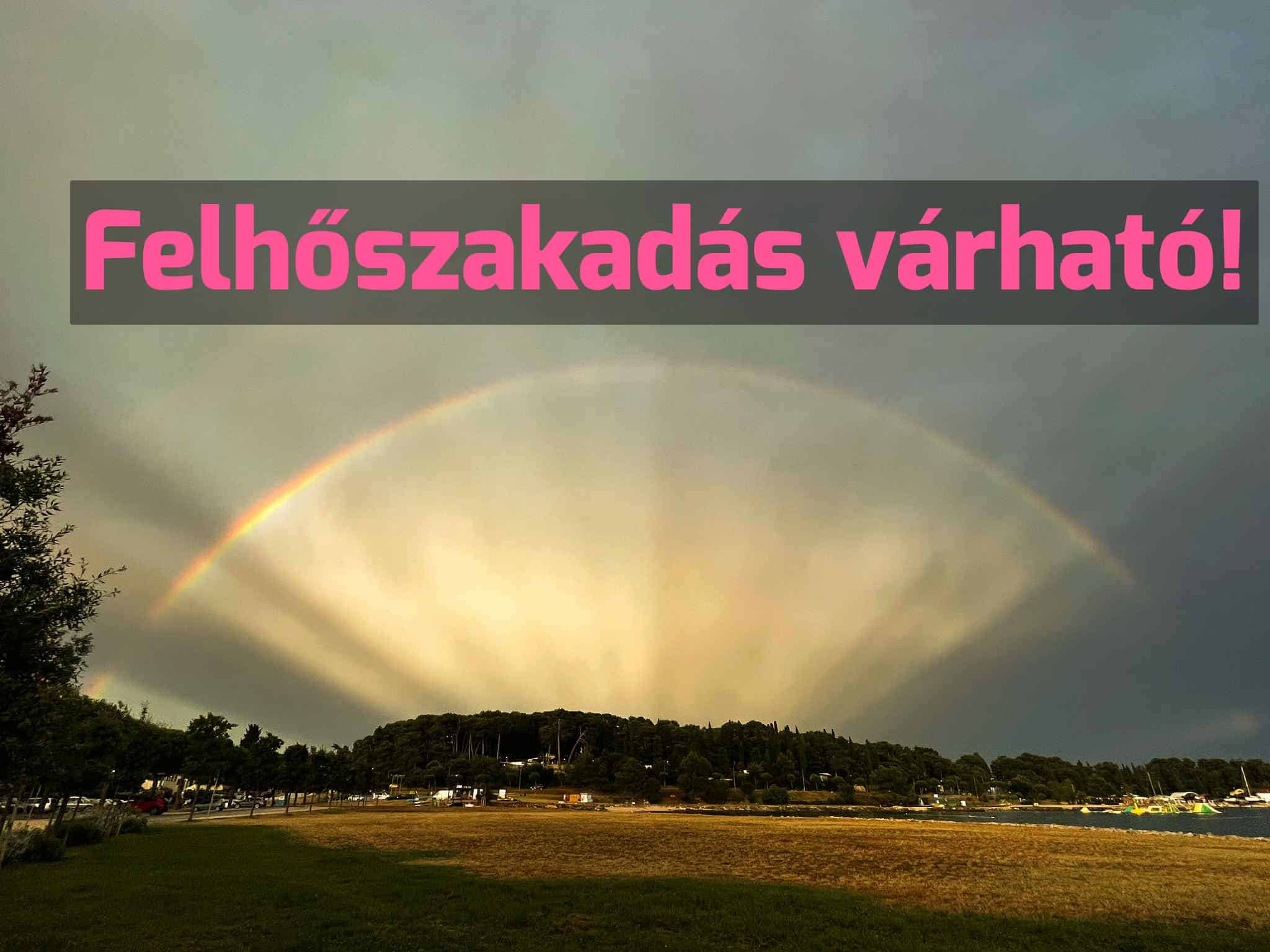 Cikk fotója