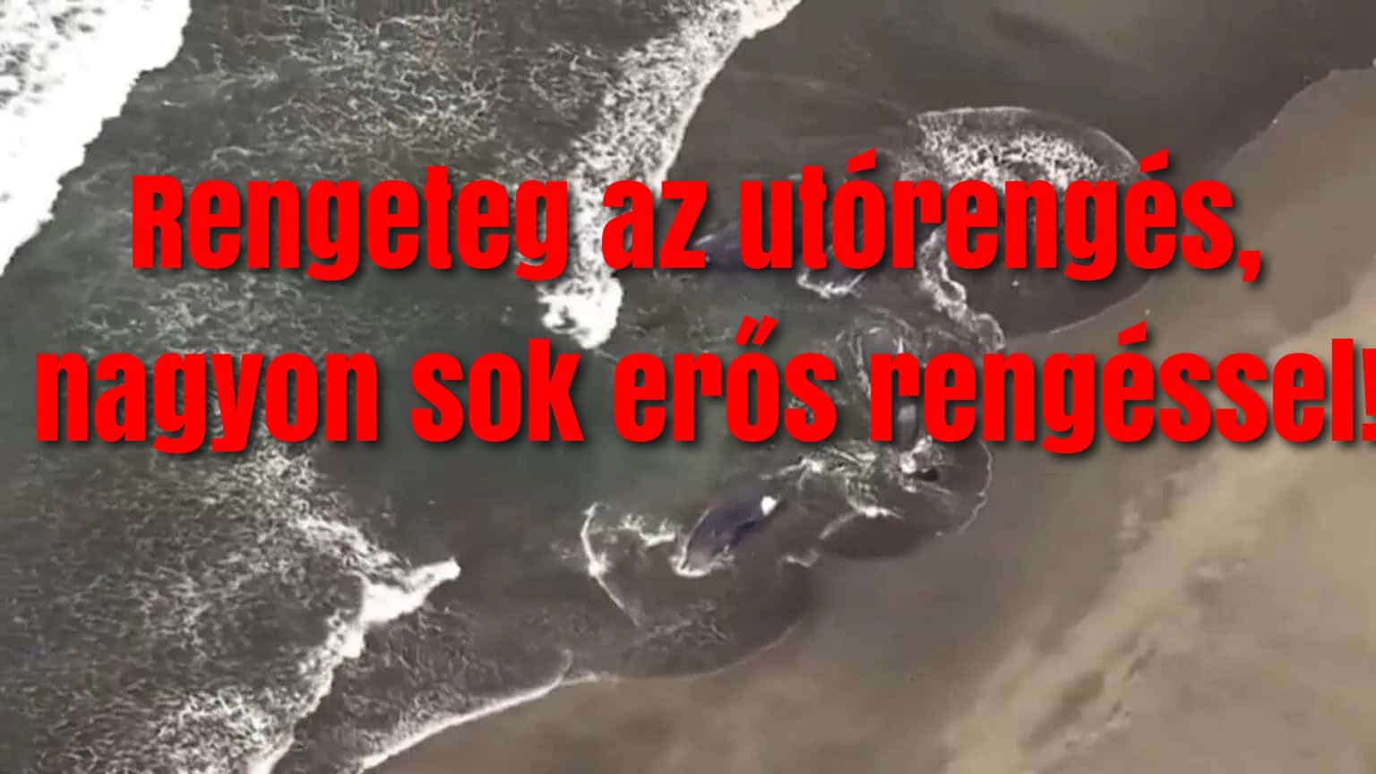 Cikk fotója