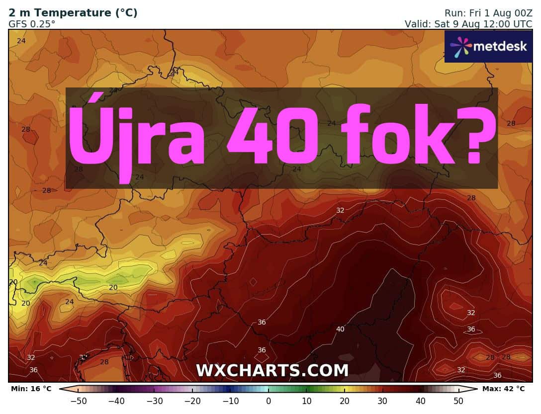 Cikk fotója