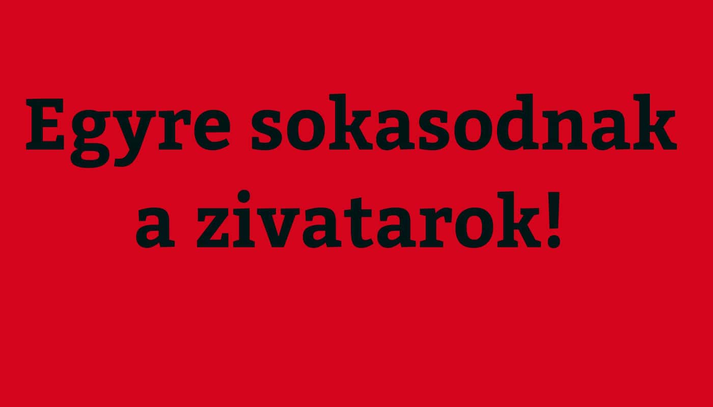 Cikk fotója