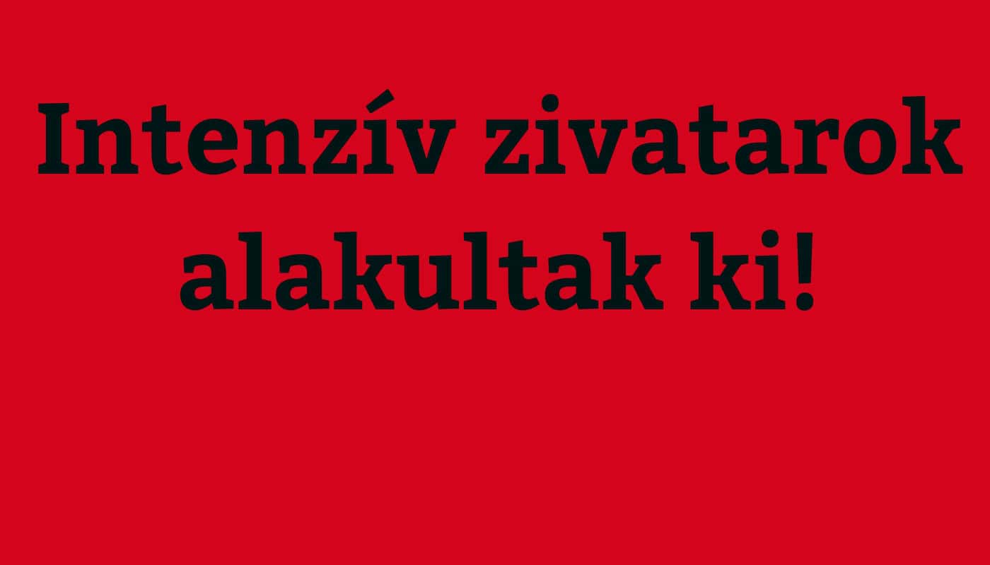 Cikk fotója