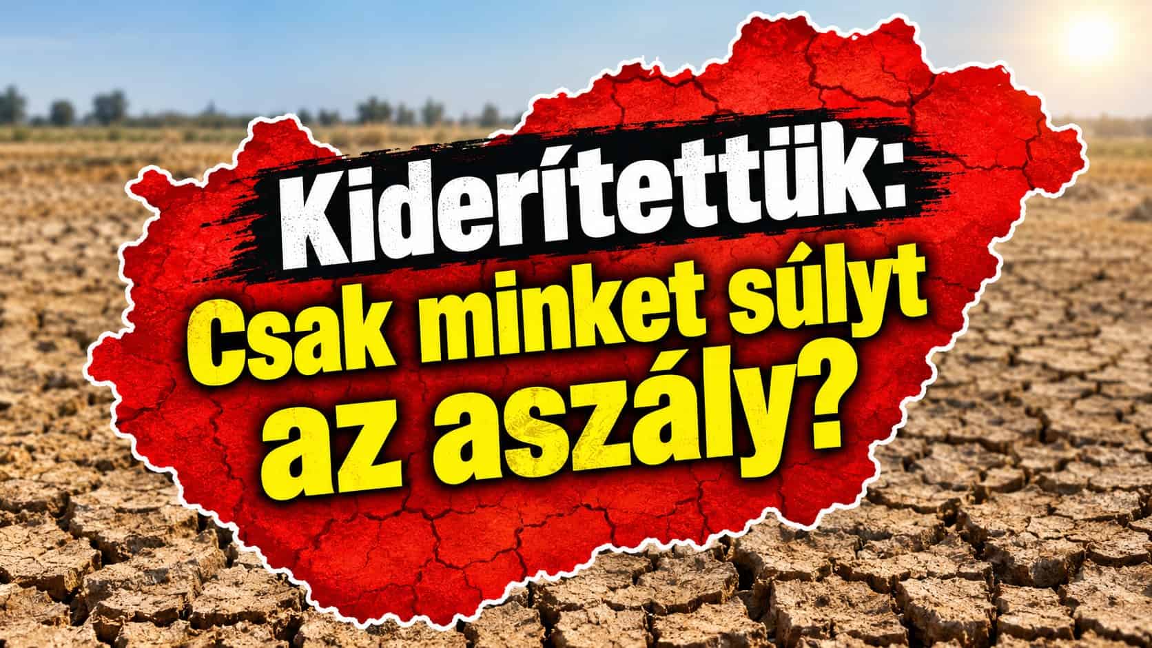 Cikk fotója