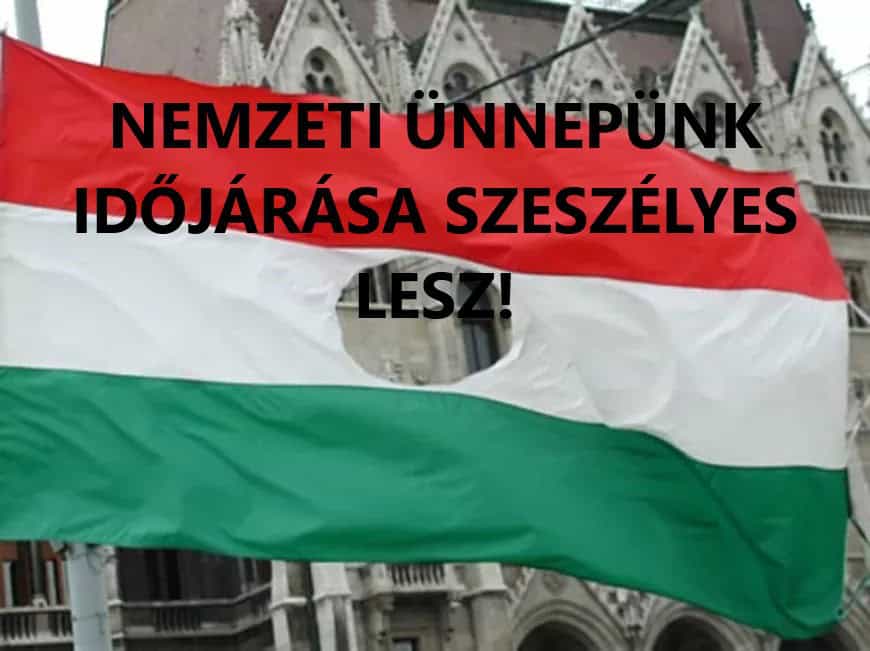 Cikk fotója