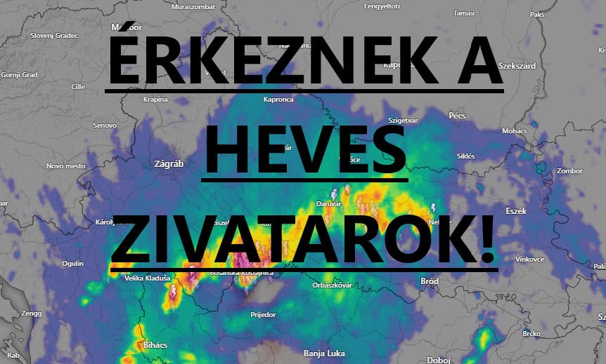 Cikk fotója