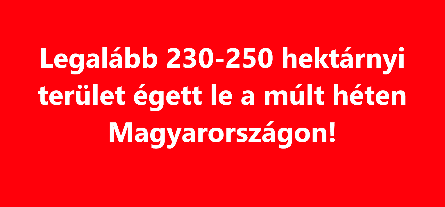 Cikk fotója