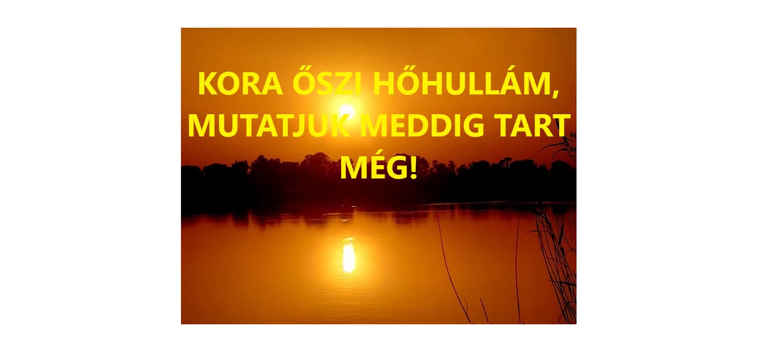 Cikk fotója