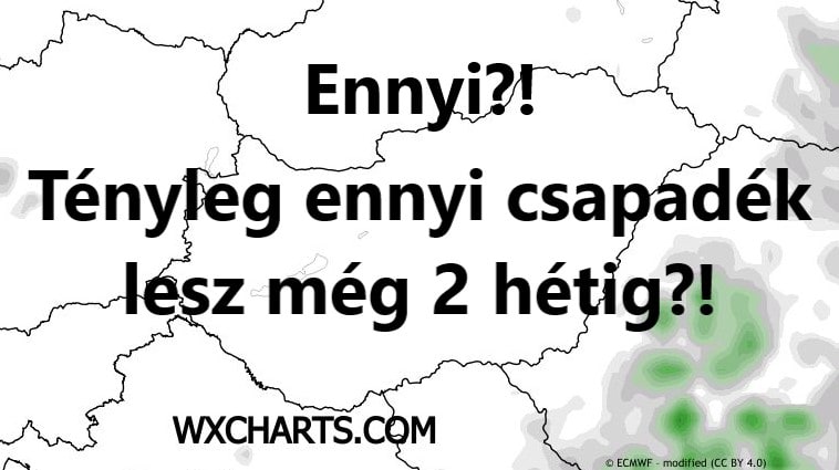 Cikk fotója