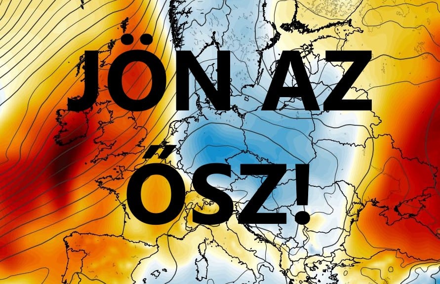 Cikk fotója