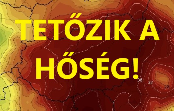 Cikk fotója