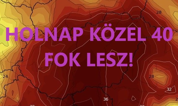 Cikk fotója