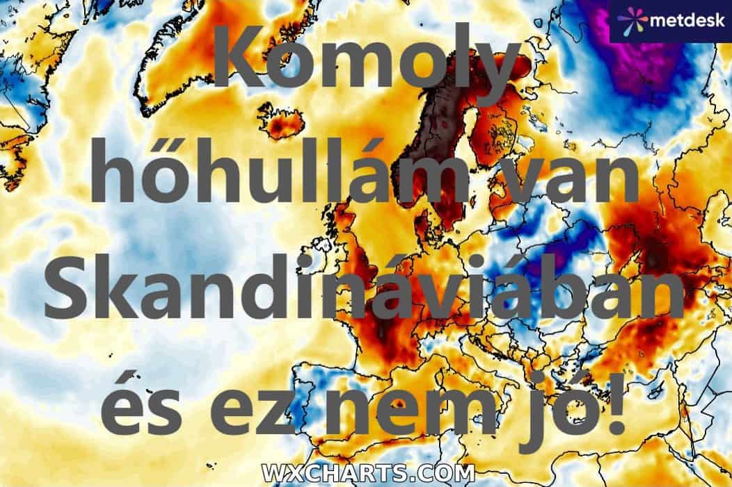 Cikk fotója