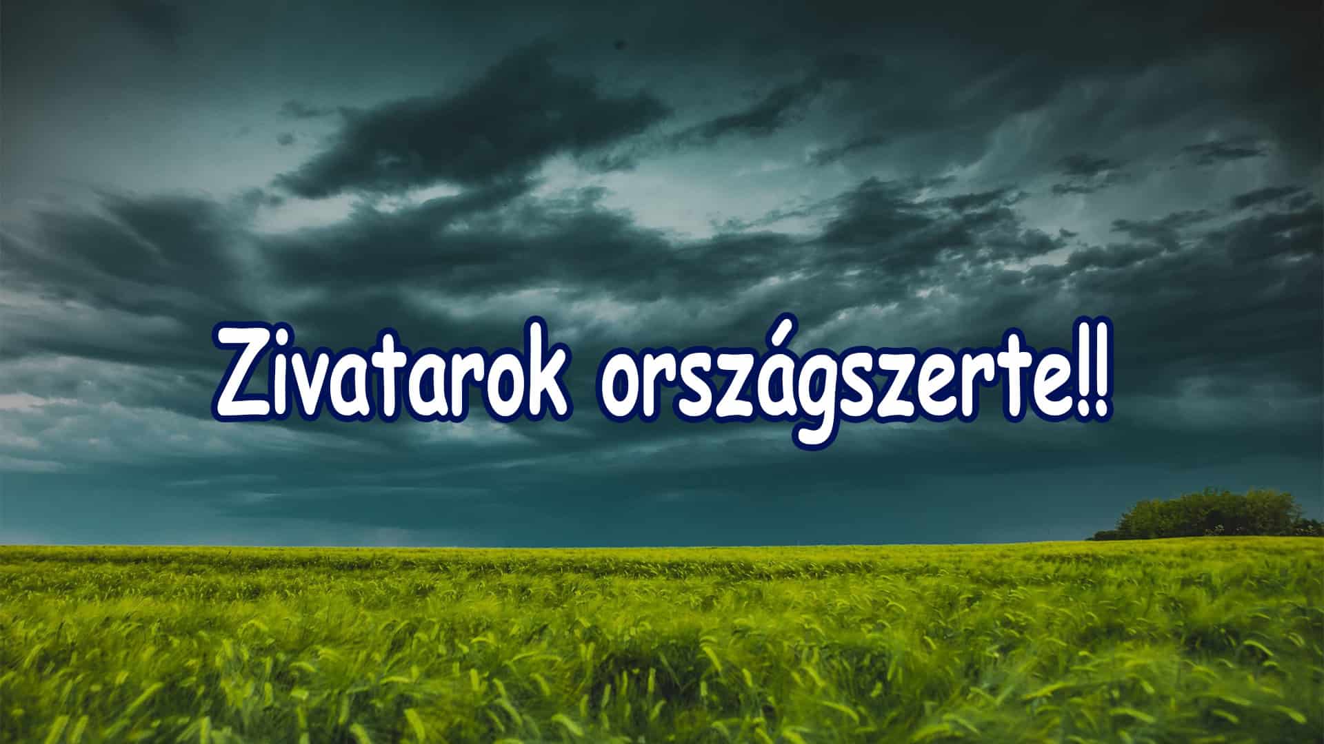 Cikk fotója