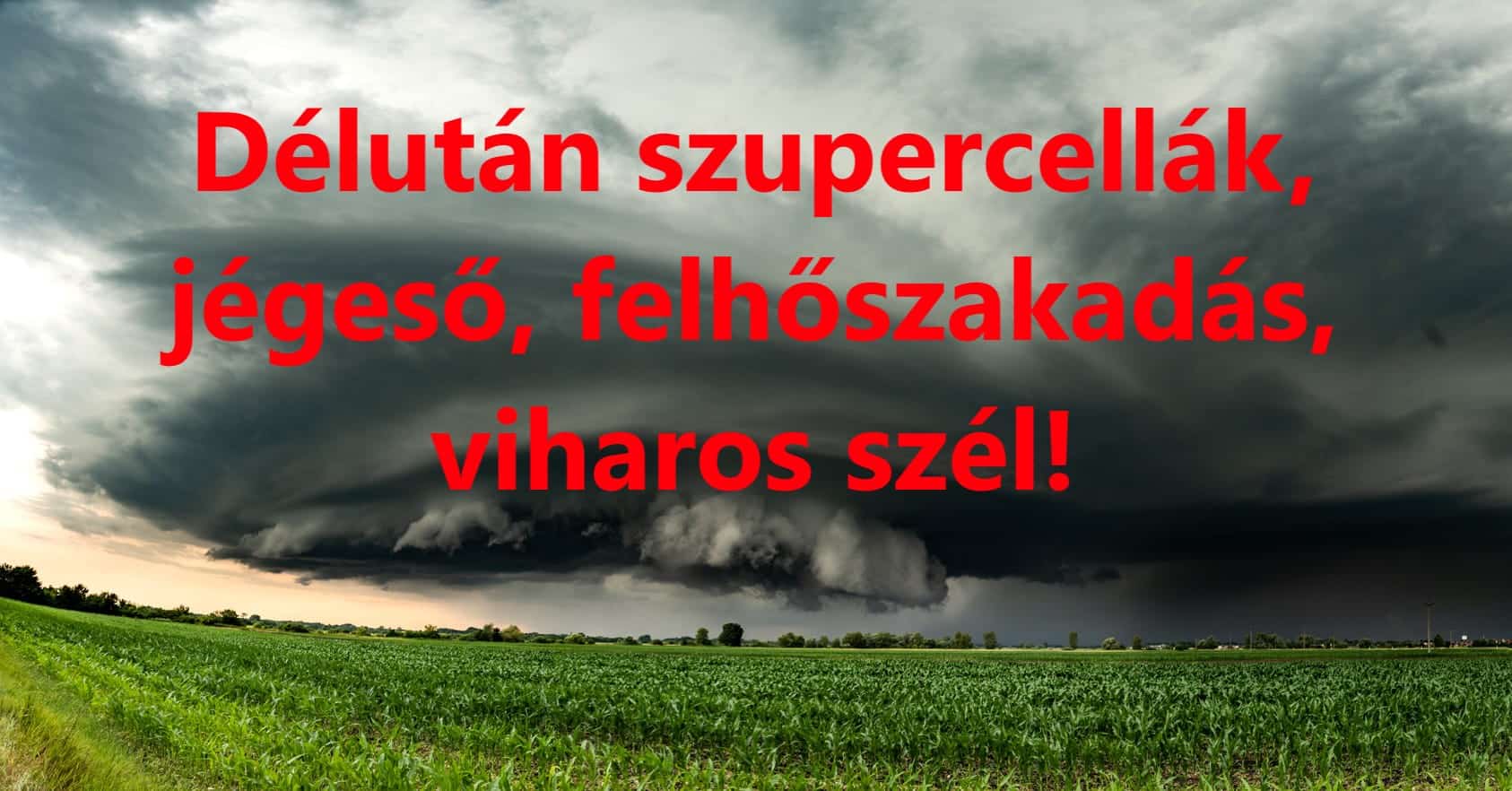 Cikk fotója