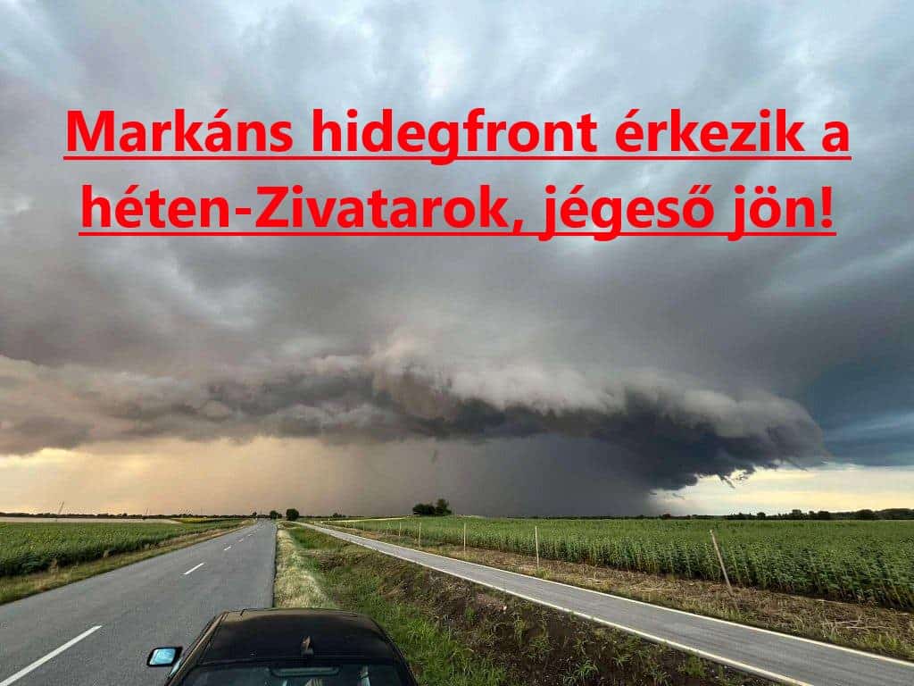 Cikk fotója