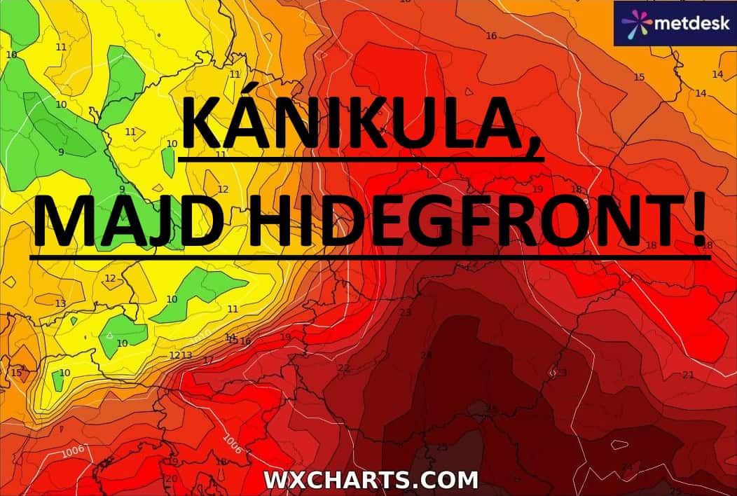 Cikk fotója