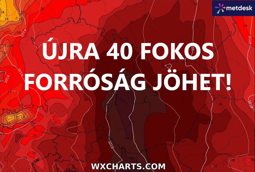 Cikk fotója