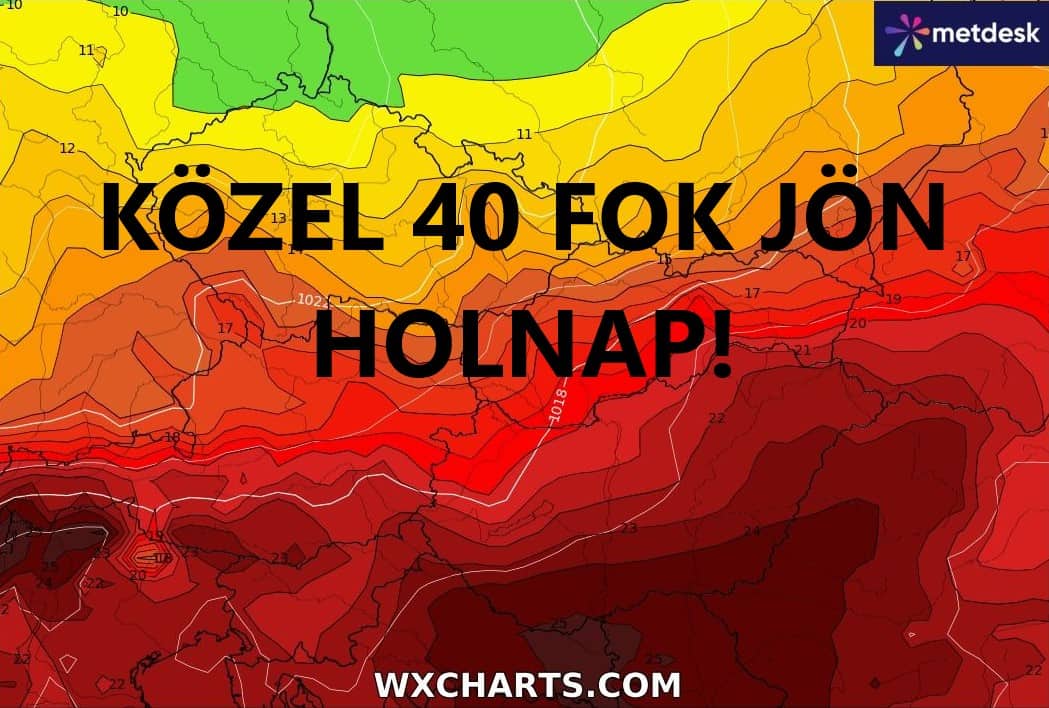 Cikk fotója