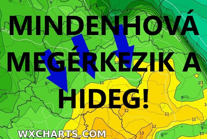 Cikk fotója