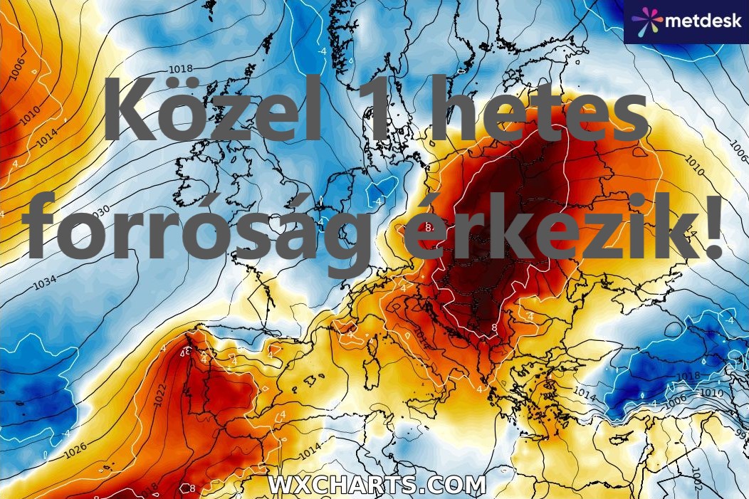Cikk fotója