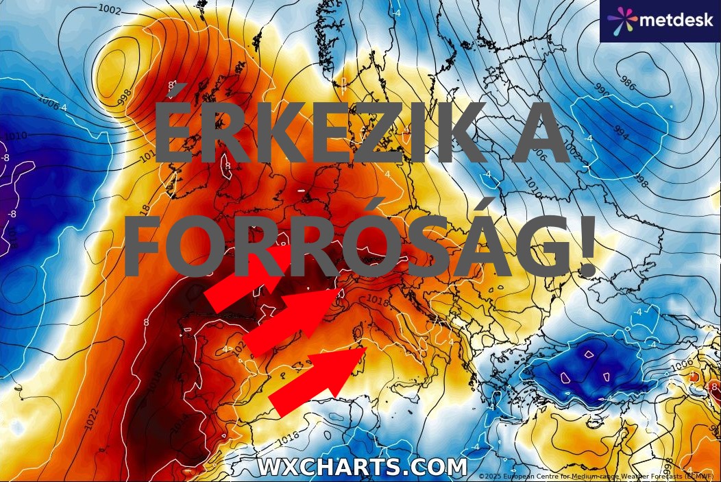 Cikk fotója