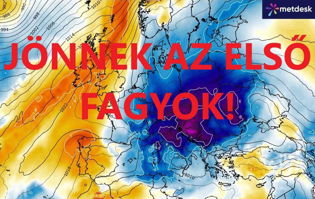 Cikk fotója
