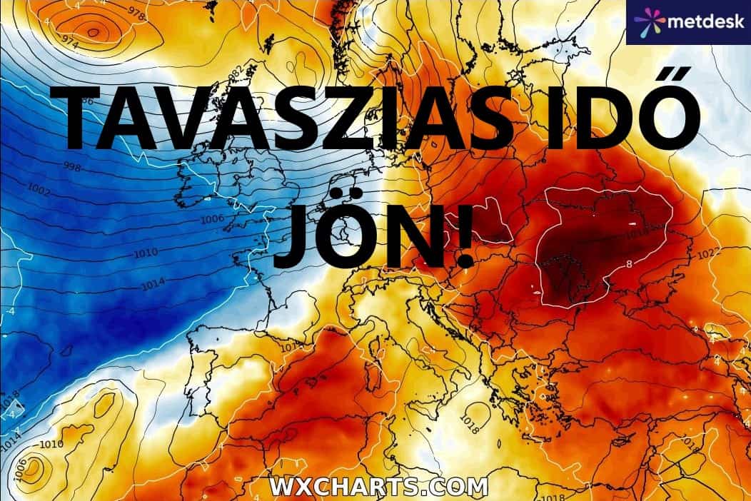 Cikk fotója