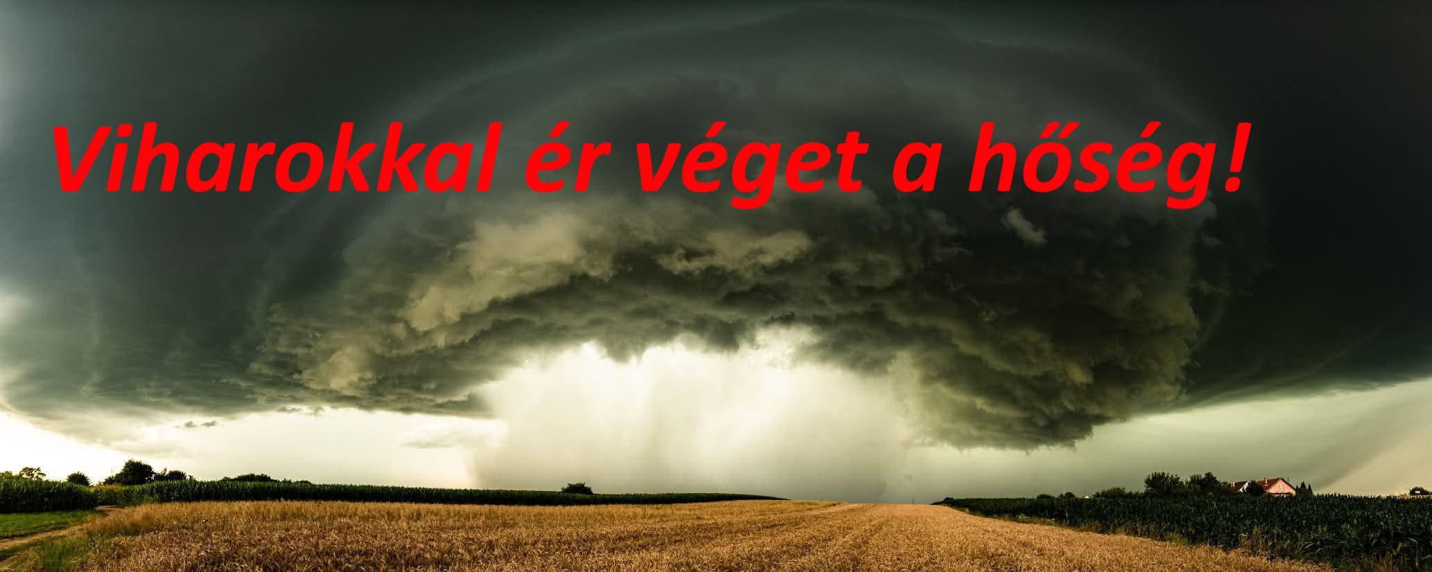 Cikk fotója