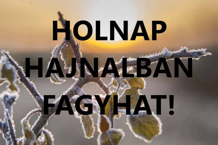 Cikk fotója