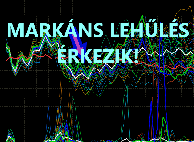 Cikk fotója