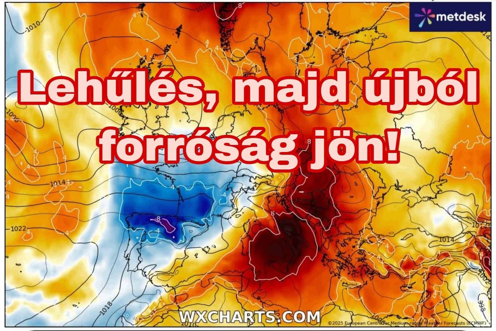 Cikk fotója