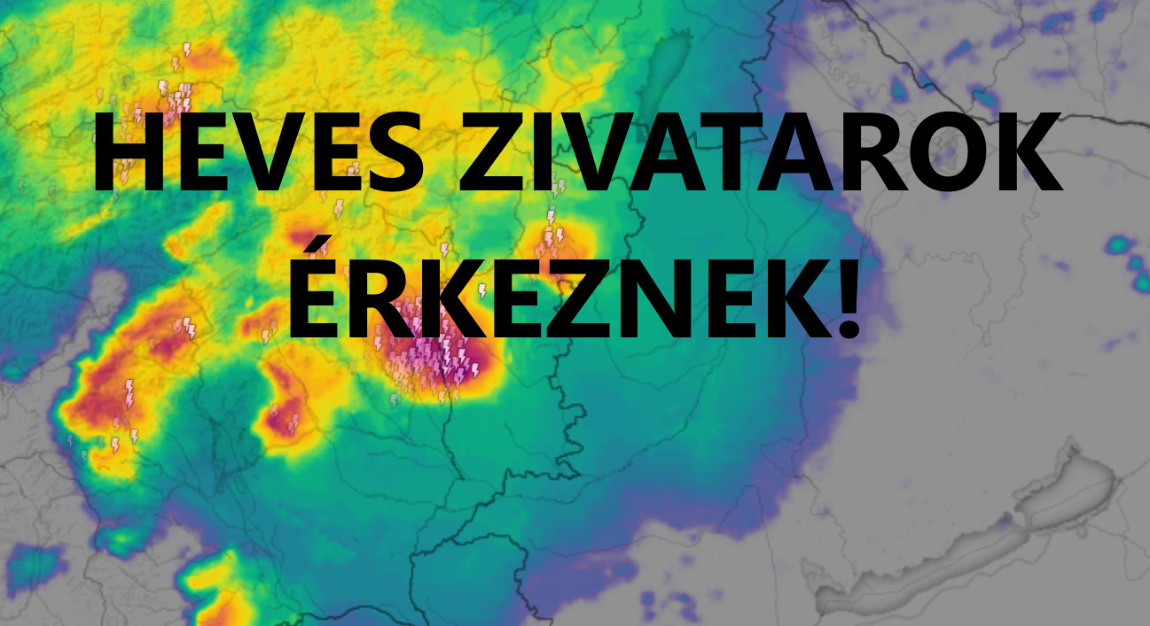 Cikk fotója
