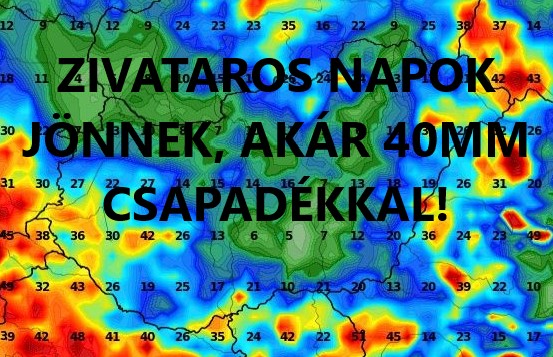 Cikk fotója