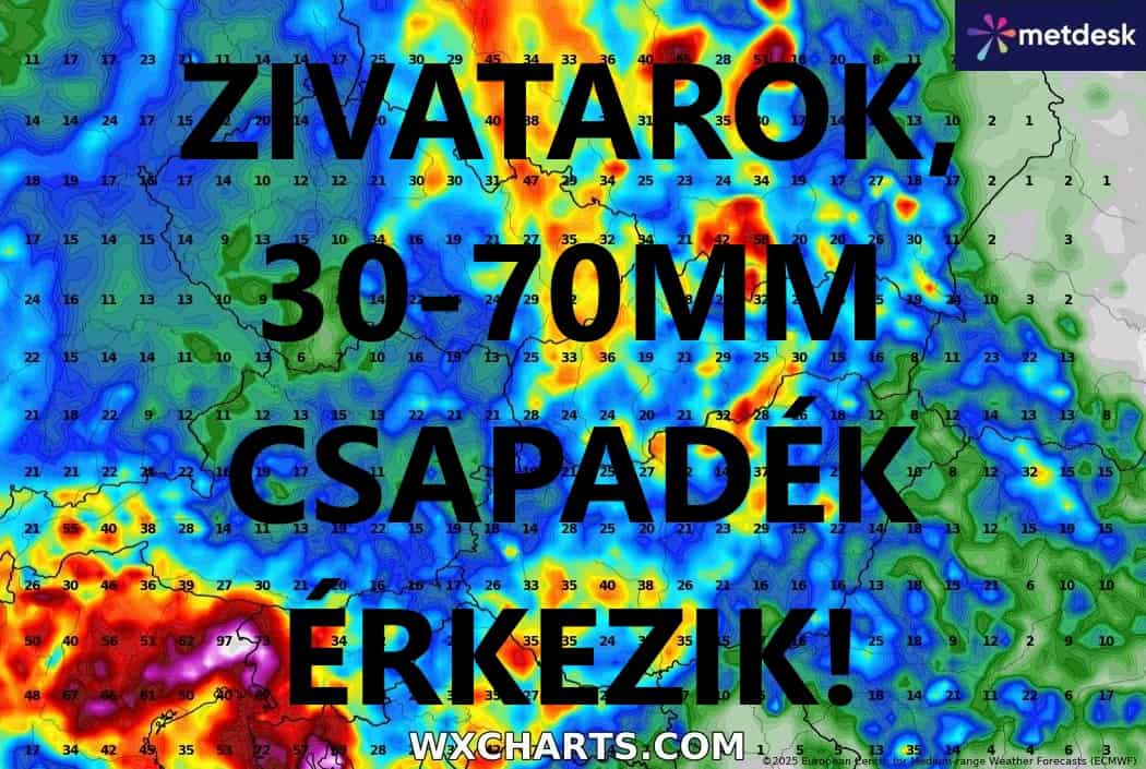 Cikk fotója