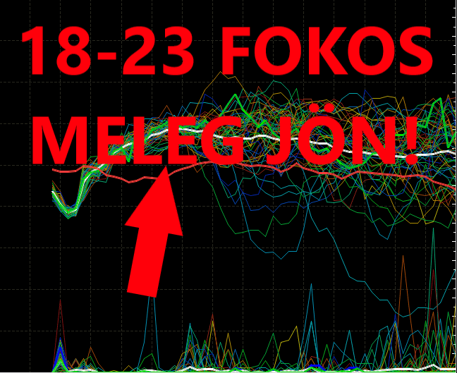 Cikk fotója