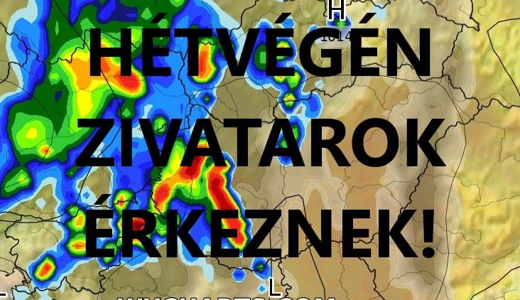 Cikk fotója
