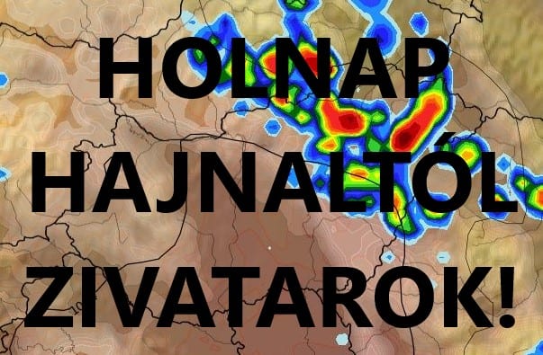 Cikk fotója