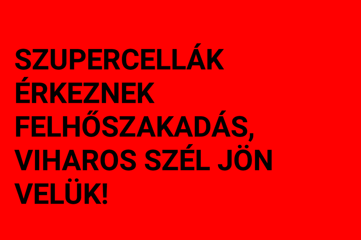 Cikk fotója