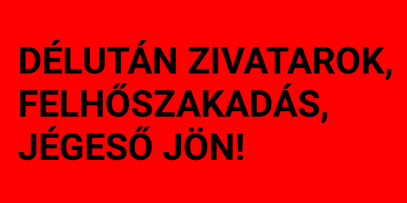 Cikk fotója