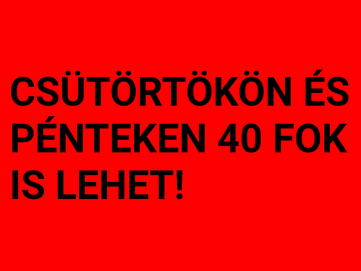 Cikk fotója