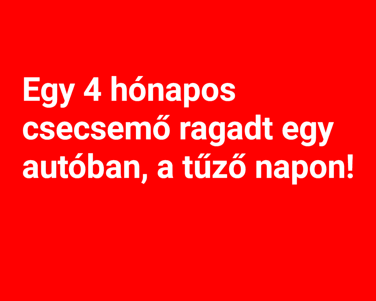 Cikk fotója