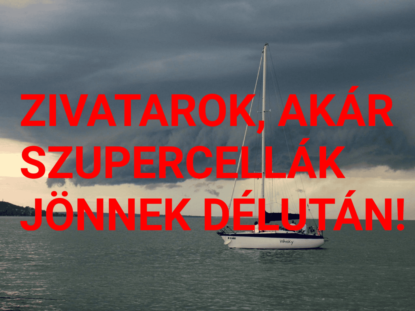 Cikk fotója