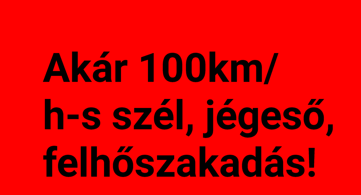 Cikk fotója