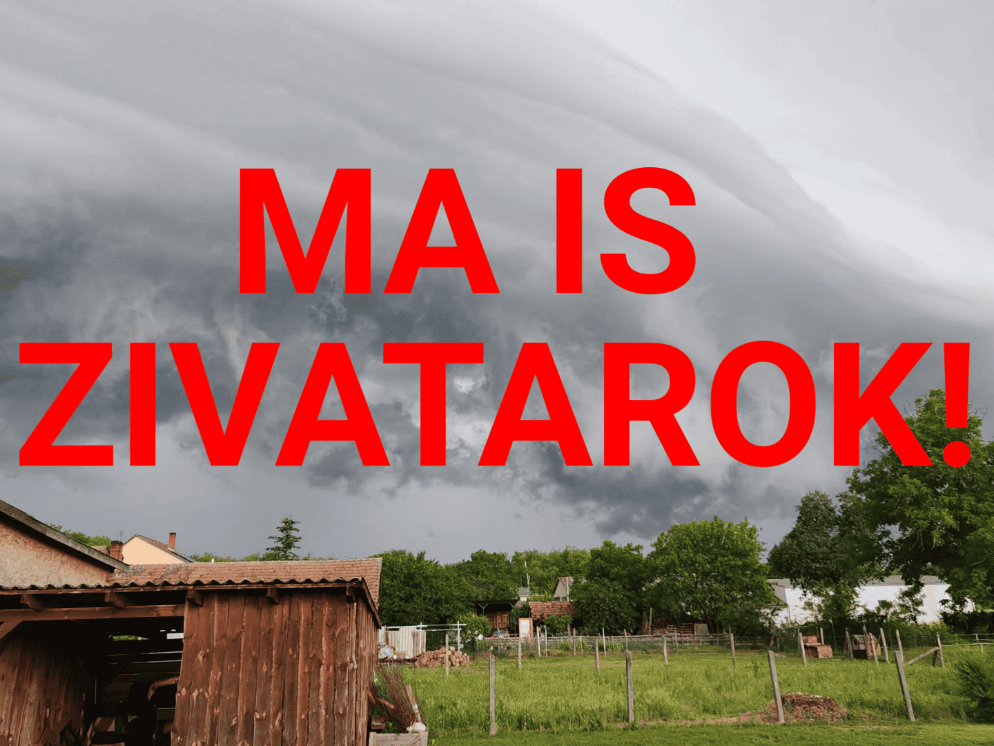 Cikk fotója