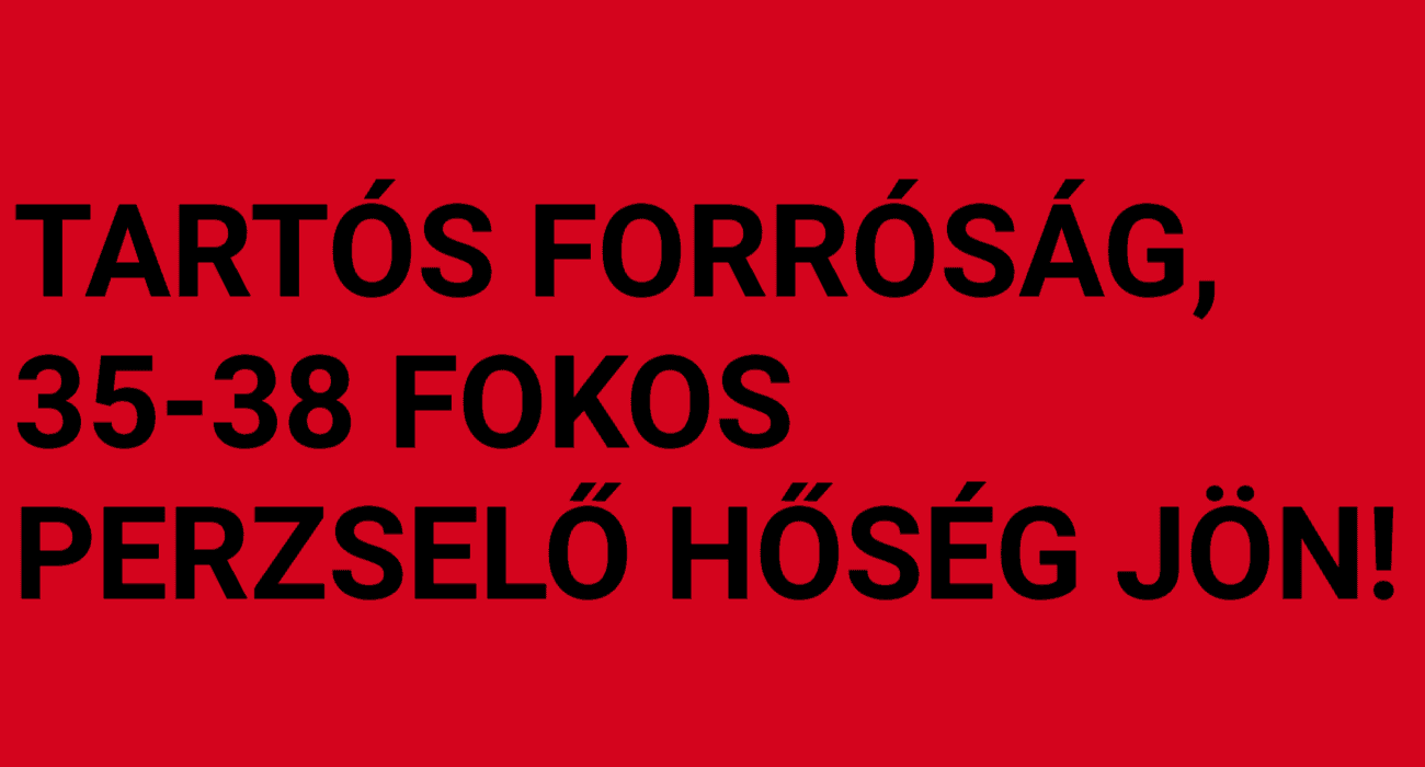 Cikk fotója
