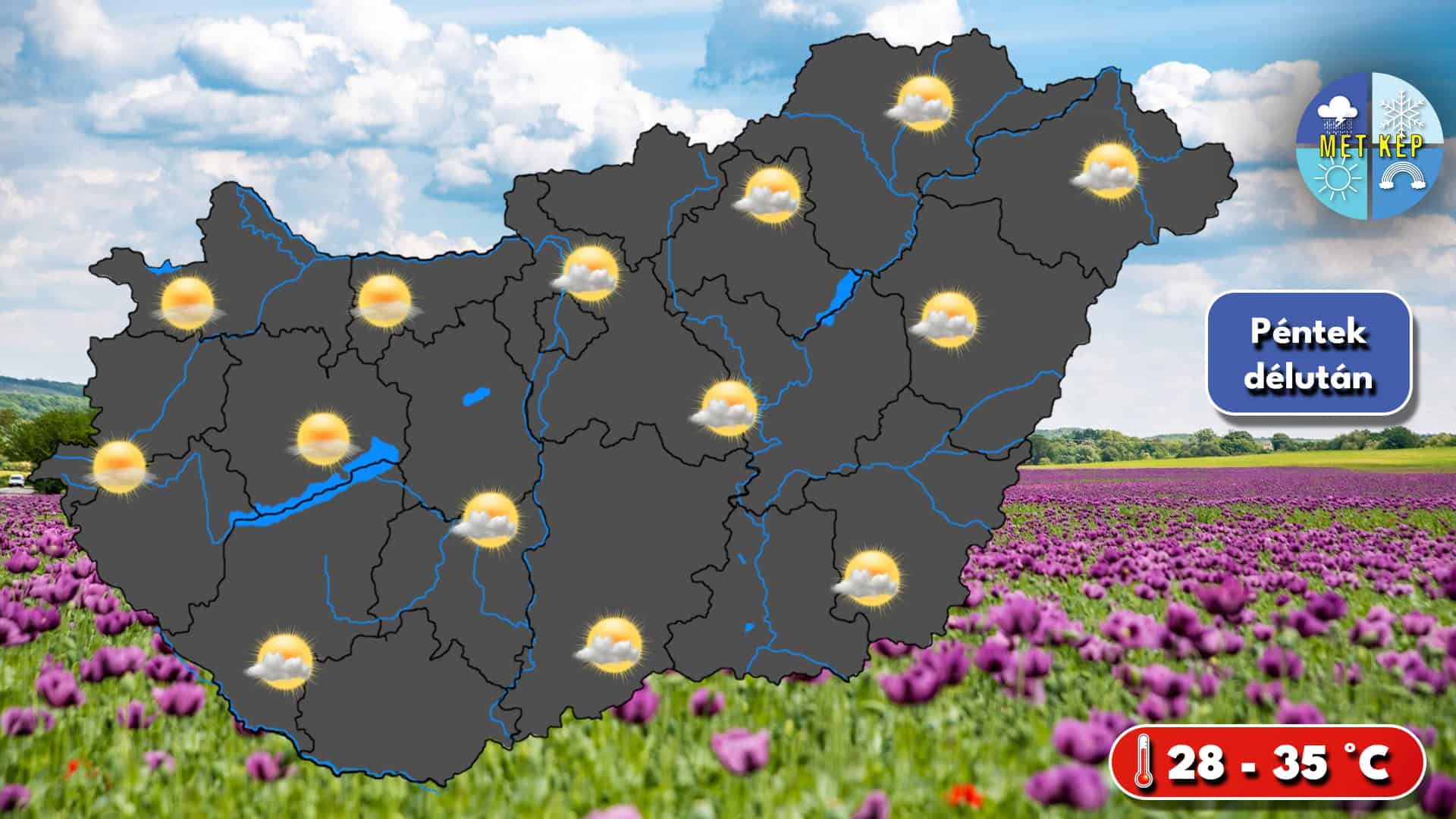 Cikk fotója