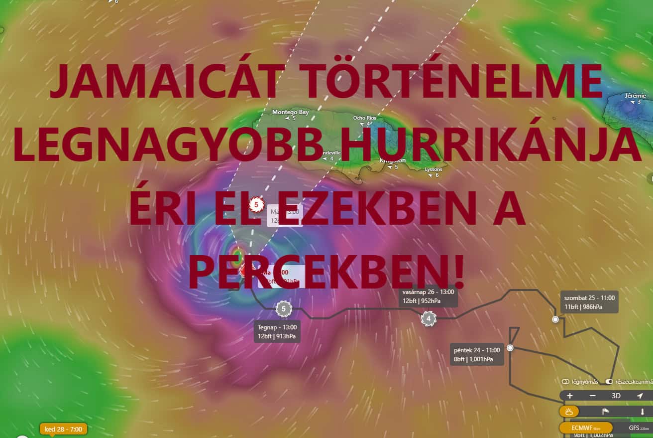 Cikk fotója